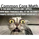 Common Core Math.jpg