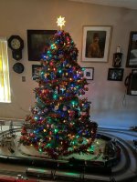 IMG_2056.jpeg